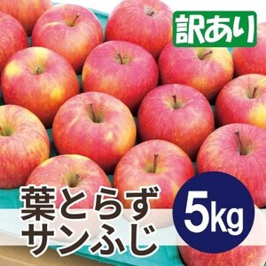 平均糖度13度以上! 葉とらずサンふじ 約5kg 訳あり_果物・フルーツ りんご リンゴ 林檎_[配送不可地域:沖縄県]