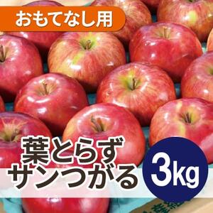 [25年9月より順次発送]平均糖度12度以上! 葉とらずサンつがる約3kg おもてなし用 クール便_果物・フルーツ りんご リンゴ 林檎_[配送不可地域:離島・沖縄県]