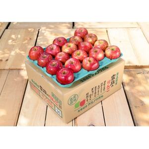[25年9月より順次発送]平均糖度12度以上! 葉とらずサンつがる 約3kg 訳あり クール便_果物・フルーツ りんご リンゴ 林檎_[配送不可地域:離島・沖縄県]