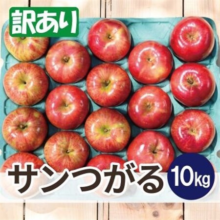 【26年8月下旬から発送】平均糖度12度以上! サンつがる 約10kg 訳あり  クール便_果物・フルーツ りんご  リンゴ 林檎_【配送不可地域：離島・沖縄県】【1611777】