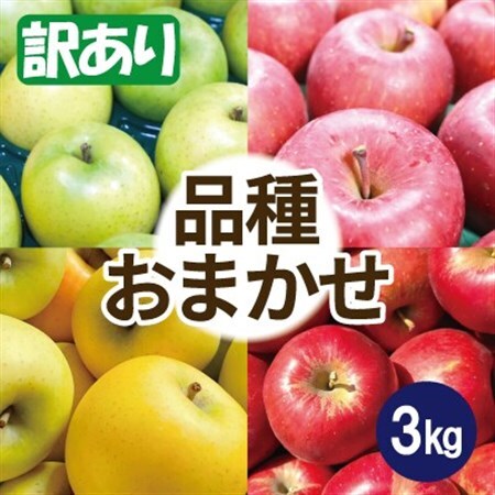 [26年6月出荷予定]りんご 品種おまかせ 約3kg 訳あり クール便_果物・フルーツ りんご リンゴ 林檎_[配送不可地域:離島・沖縄県]