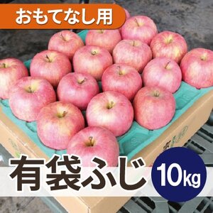 【26年5月出荷予定】平均糖度13度以上! 有袋ふじ 約10kg おもてなし用 CA貯蔵 クール便_果物・フルーツ りんご  リンゴ 林檎_【配送不可地域：離島・沖縄県】【1613256】