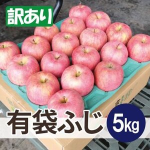 【26年5月出荷予定】平均糖度13度以上! 有袋ふじ 約5kg 訳あり CA貯蔵 クール便_果物・フルーツ りんご  リンゴ 林檎_【配送不可地域：離島・沖縄県】【1613259】