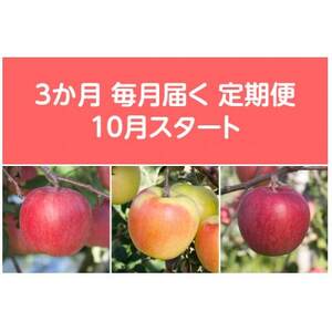 yŒցzq2025N10菇rÖnEXY񂲖3kgS3yzsnFEꌧzy4068084z