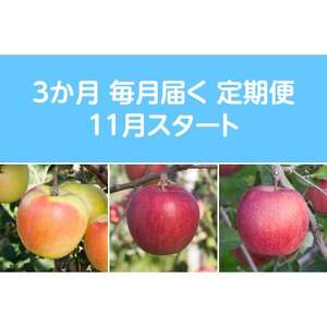 yŒցzq2025N11菇rÖnEXY񂲖3kgS3yzsnFEꌧzy4068085z