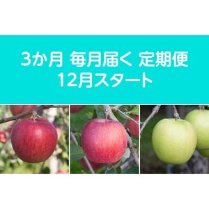 yŒցzq2025N12菇rÖnEXY񂲖3kgS3yzsnFEꌧzy4068087z