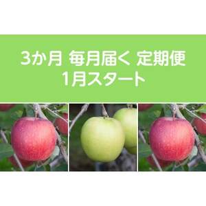 yŒցzq2026N1菇rÖnEX񂲖3kgS3yzsnFEꌧzy4068094z