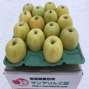 農家直送 青森県産 王林 家庭用 約5kg(18個前後入り) 甘い青りんごの定番