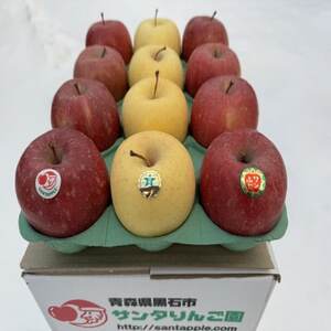 �T���ӂ�������(���񂹂�)�@�ƒ�p�@3�L���@�g����񂲂̋l�����@�j���₨�����Ɂy1697746�z