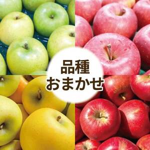 青森県産 りんご 品種おまかせ 約2kg 訳あり お試しサイズ[配送不可地域:離島・沖縄県]