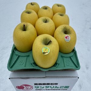 蔵出し春りんご シナノゴールド 約3キロ パリッと食感に、マイルドな酸味 農家直送青森りんご [配送不可地域:離島]