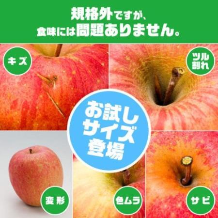 訳ありりんご「早生ふじ」に、お試しサイズ3kgが登場!![配送不可地域:離島]