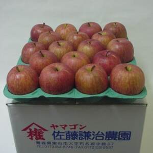 yXΎsYzTӂ 5kg_ʕEt[c   S ь_y1251378z