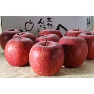 [りんごの代名詞]サンふじ贈答用品3kg_果物・フルーツ りんご リンゴ 林檎_