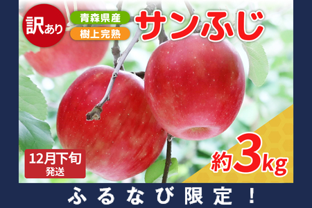 [ふるなび限定][2024年12月下旬発送] りんご[樹上完熟] 約3kg サンふじ 訳あり 青森 五所川原