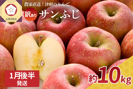 y2026N1㔼zy󂠂z  10kg Tӂ XY