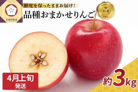 [2026年4月上旬発送]特撰丸かじりりんご約3kg 品種おまかせ1種(スマートスレッシュまたはCA貯蔵)