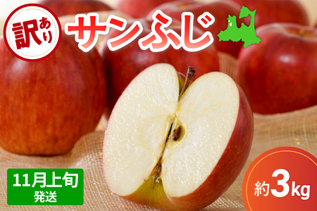 サンふじ 訳ありりんご約3kg[2024年11月上旬発送]青森りんご3kgringo五所川原サンフジリンゴ3kg