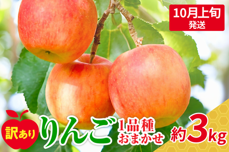 [2025年10月上旬発送][訳あり]おまかせりんご約3kg(7〜12個程度)おまかせ品種 |青森県五所川原市訳ありりんご 3kg家庭用3kg
