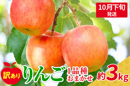 [2024年10月下旬発送][訳あり]おまかせりんご約3kg(7〜12個程度)おまかせ品種 |青森県五所川原市訳ありりんご 3kg家庭用3kg