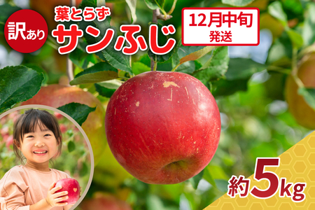 󂠂Tӂ@5kgy2025N12{ztƂ炸_ь___X܏쌴s