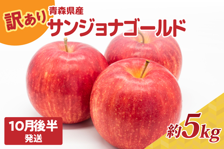 りんご 訳あり 約5kg[2024年10月後半発送]サンジョナゴールド 不揃い 青森リンゴ 酸味あり