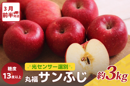 y3Oz  3kg Tӂ ە ZT[ I x 13xȏ XY