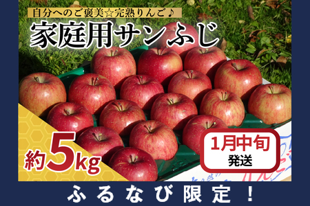 yӂȂьz񂲁y2026N1{zTӂ5kgyƒpzX@FN-Limited-SP