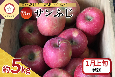 訳ありりんご [2026年1月上旬発送]サンふじ約5kg_青森県五所川原市_さとうりんご園