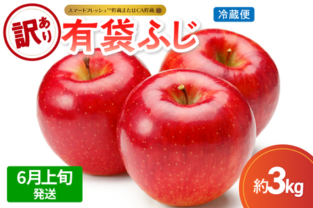 【2026年6月上旬発送】【訳あり】りんご 3kg 有袋ふじ 【スマートフレッシュTM貯蔵またはCA貯蔵・クール便】