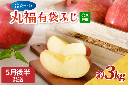 �y2026�N5���㔼�����z��� �ە� �L�܂ӂ� ��3kg CA���� �X�� �܏��쌴�s