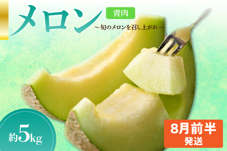 先行予約[2025年8月前半発送][秀〜優品]津軽平野のメロン 約5kg程度(青肉メロン)[青森メロン]