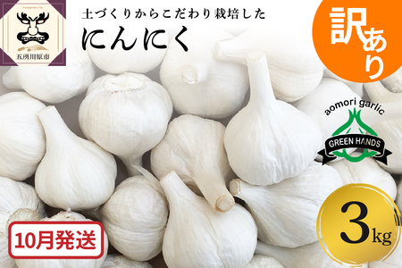 [先行受付][10月発送] にんにく 訳あり 青森県産 にんにく3kg(1kg×3)