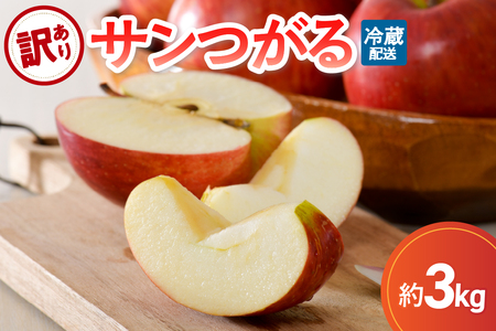 訳あり りんご 3kg 9月 サンつがる 青森[2025年 リンゴ 林檎 果物 クール便]