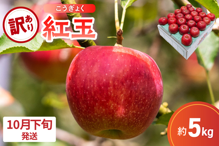 [2025年10月下旬発送][訳あり] りんご 5kg 紅玉 アップルパイ に最適 青森 不揃い