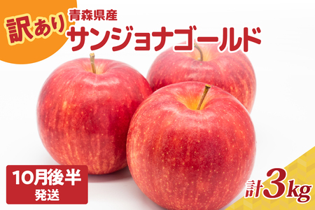 [2025年10月後半発送]りんご[訳あり]約3kg サンジョナゴールド | 青森県産りんご 家庭用りんご