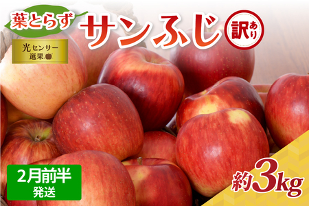 tƂ炸Tӂ y2026N2Ozy󂠂z Tӂ  3kg XY