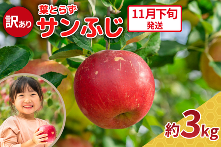 葉とらずりんご 約3kg[2025年11月下旬発送]訳ありサンふじ_青森県五所川原市_中川農園