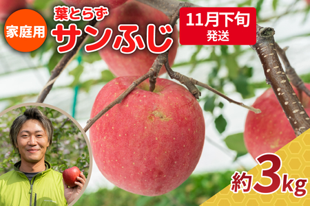 葉とらずりんご 約3kg[2025年11月下旬発送]サンふじ_家庭用_林檎_青森県五所川原市_中川農園