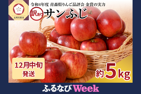 [ふるなびWEEK対象][2025年12月中旬発送][訳あり]りんご 青森産 約5kg サンふじ FN-Limited-PR