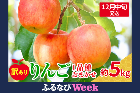 [ふるなびWEEK対象][2025年12月中旬発送] [訳あり] 旬の美味しい りんご 約5kg 青森 産 [おまかせ1品種]FN-Limited-PR