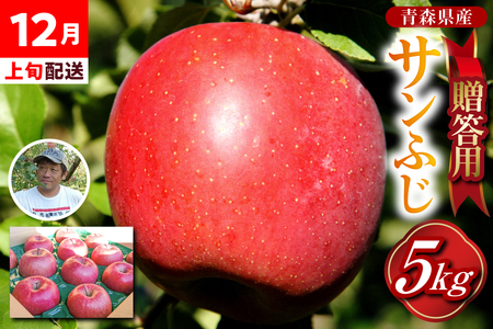 [2025年12月上旬]贈答用 りんご 約 5kg サンふじ 青森県産 五所川原 [金賞受賞歴有!]