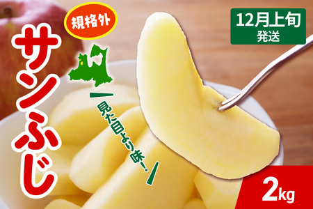 [2025年12月上旬発送] りんご サンふじ 約 2kg 規格外 程度 青森 五所川原 不揃い サン ふじ りんご規格外