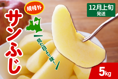 y2025N12{z  Tӂ  5kg KiO x X ܏쌴 s T ӂ 񂲋KiO