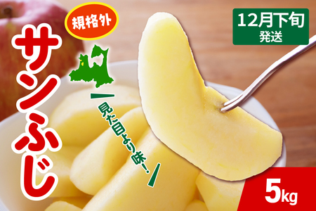 y2025N12{z  Tӂ  5kg KiO x X ܏쌴 s T ӂ 񂲋KiO