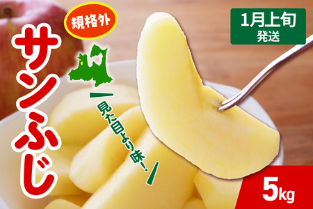 y2026N1{z  Tӂ  5kg KiO x X ܏쌴 s T ӂ 񂲋KiO