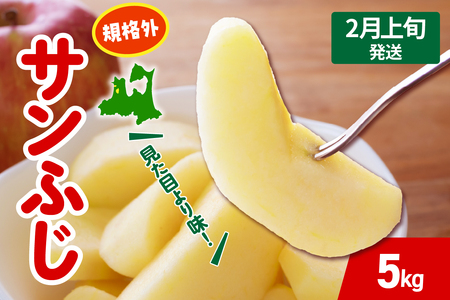 y2026N2{z Tӂ  5kg KiO x X ܏쌴 s T ӂ 񂲋KiO