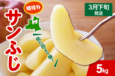 y2026N3{z Tӂ  5kg KiO x X ܏쌴 s T ӂ 񂲋KiO