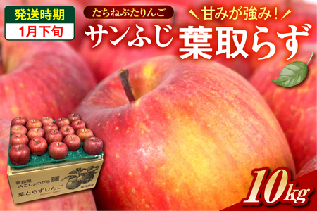 t炸Tӂ@10kgy2026N1{z ˂Ղ  X܏쌴s