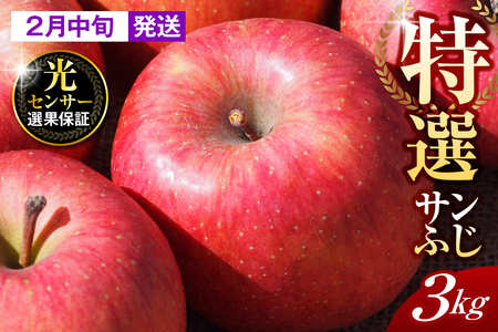 y2026N2{zyIz 3kg Tӂ X ܏쌴